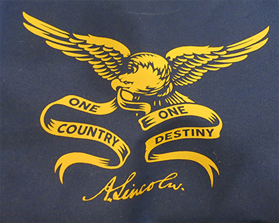 Eagle inside Lincolns coat